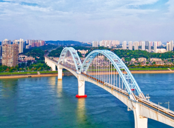 向光而行，花開滿途